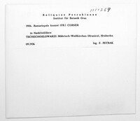 Ramariopsis kunzei image